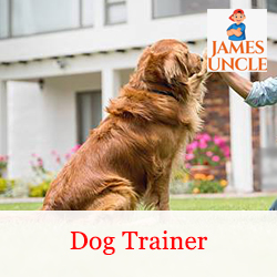 Dog trainer Mr. Aryan Saha in Khardaha